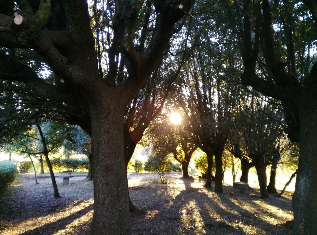 Il Salone, Bel Monolocale In Campagna * Florença